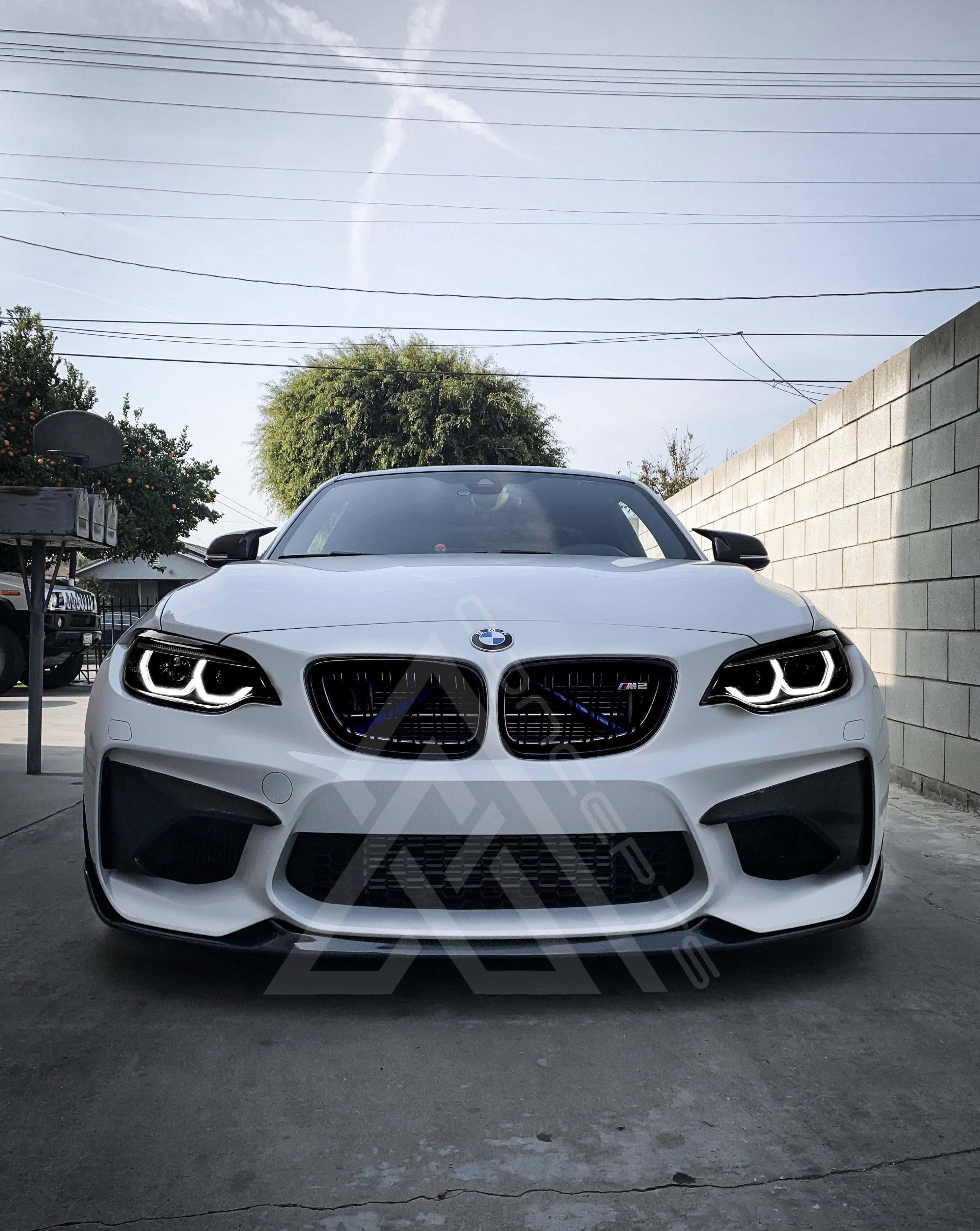Carbon Fiber Front Fangs – BMW F87 M2 | Eterna Motorworks