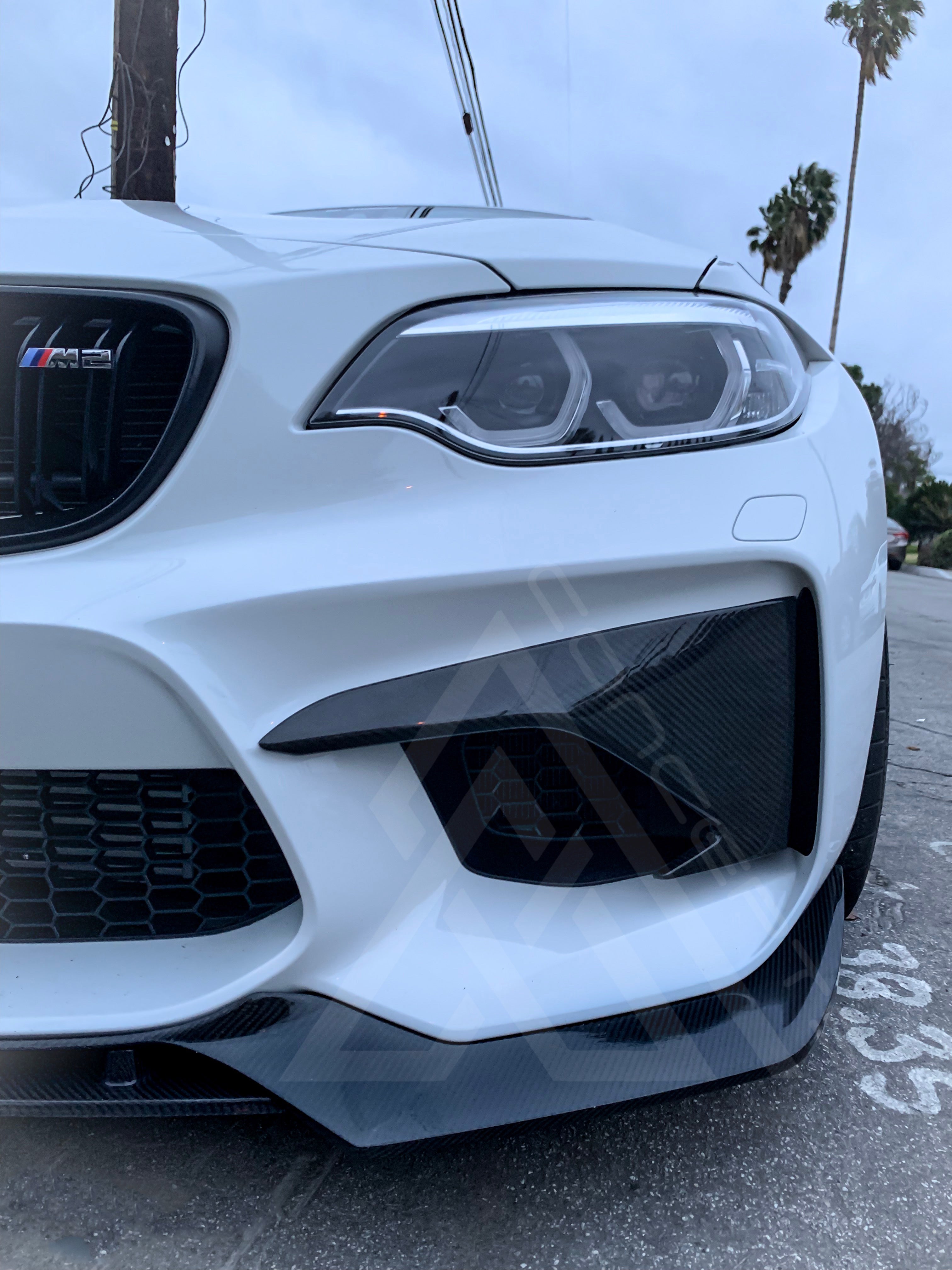 Carbon Fiber Front Fangs – BMW F87 M2 | Eterna Motorworks