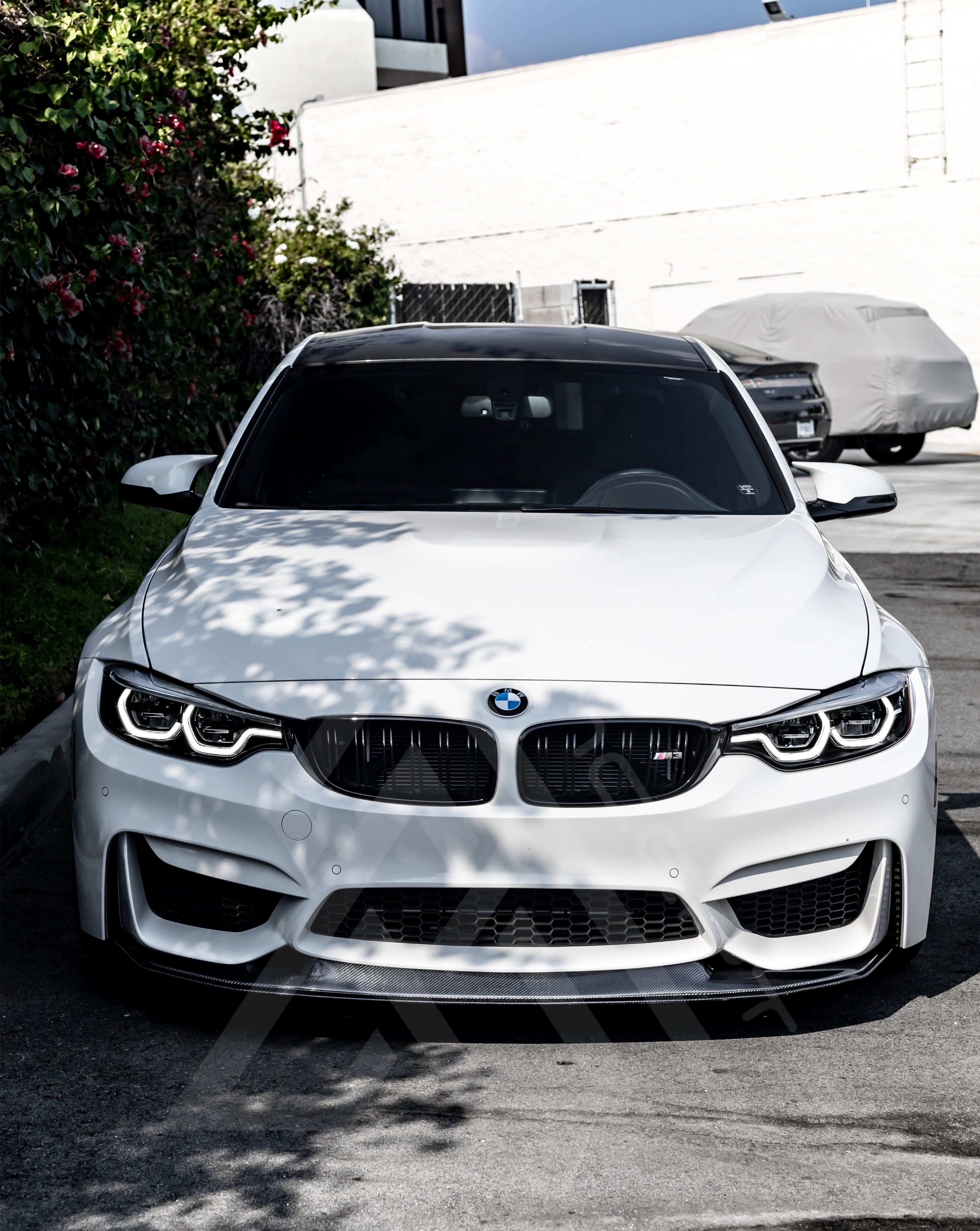 GT-Style Carbon Fiber Front Lip – BMW F80 M3 / F82 F83 M4 | Eterna Motorworks
