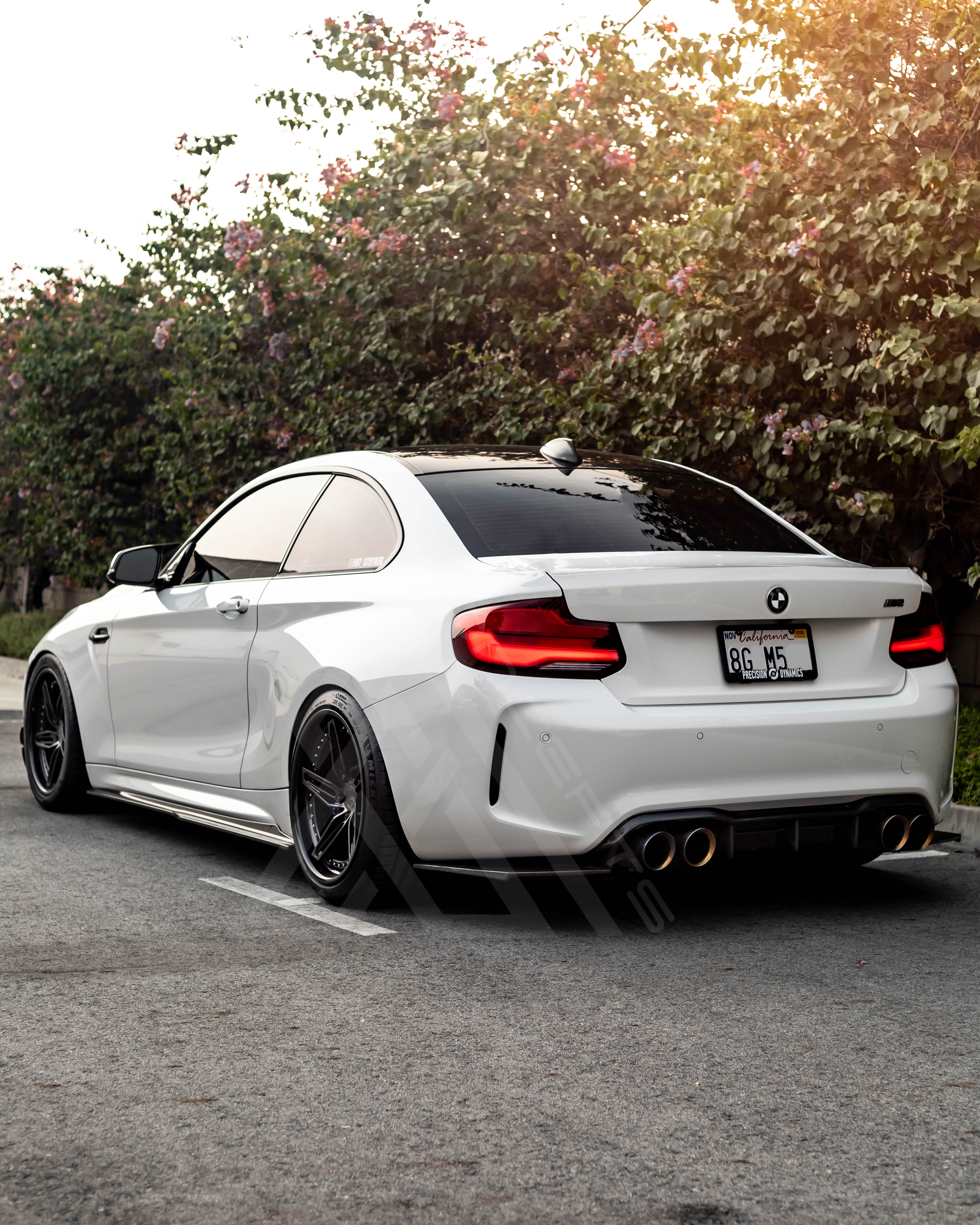 PSM-Style Carbon Fiber Side Skirts – BMW F87 M2 / M2 Competition | Eterna Motorworks