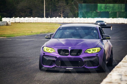 F87 M2 Front Carbon Fiber Fangs