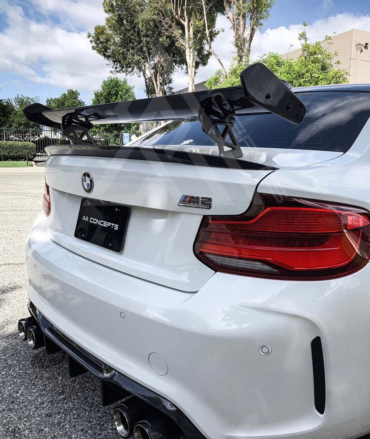 GTS Carbon Fiber Wing W/ Mounts - AA CONCEPTS CO 